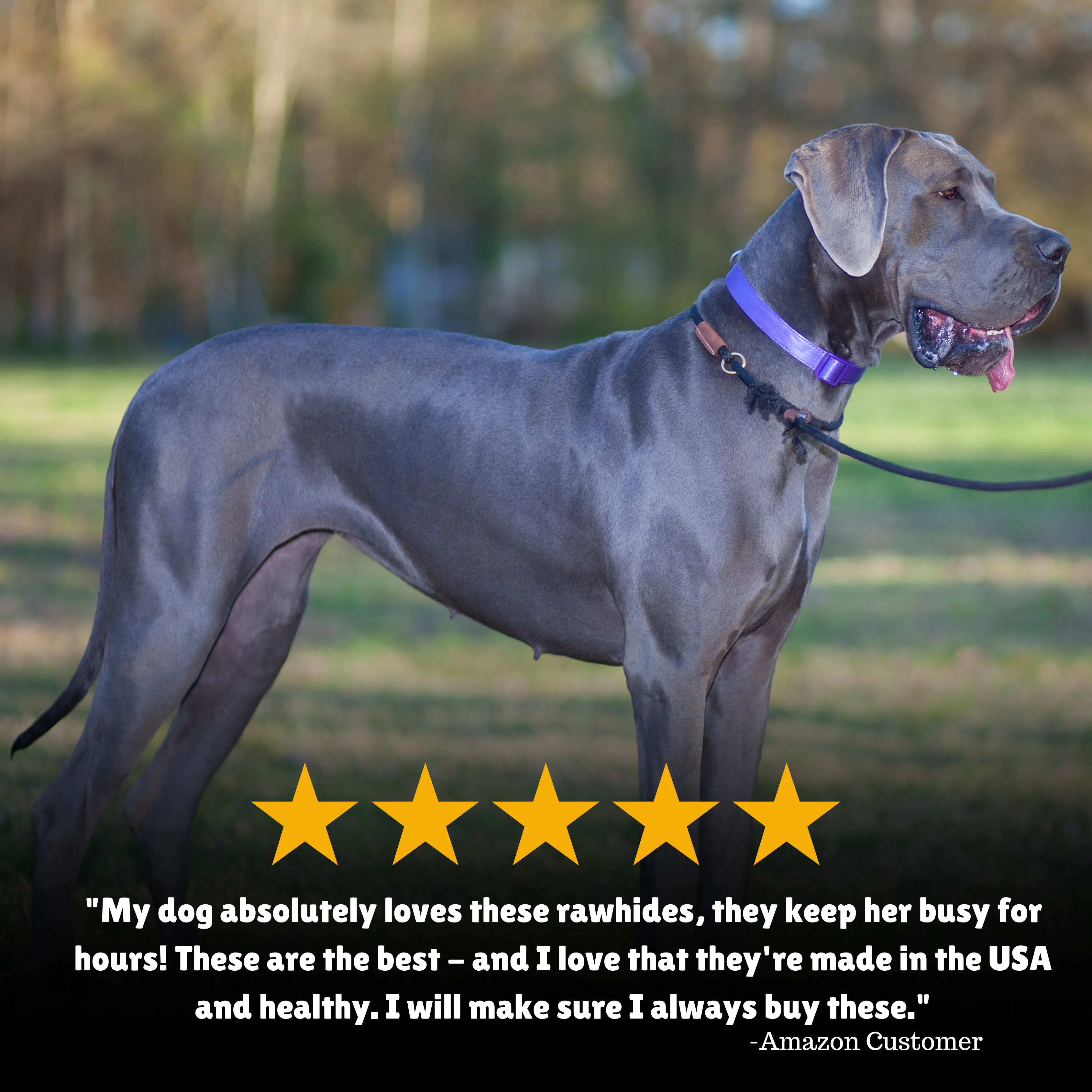 Chicken Wrapped Beefhide Treats: Bull Sticks for Large Dogs