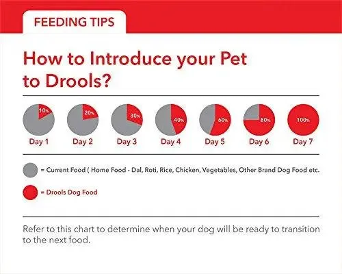 Drools Chicken and Egg Adult Dog Food, 10kg  1kg free