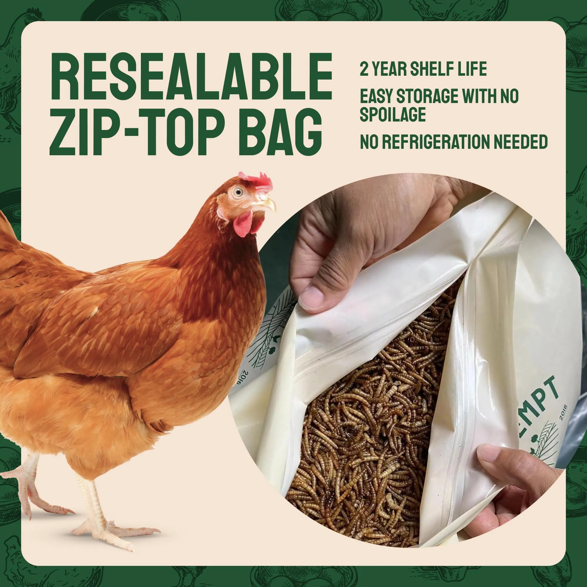 Hatortempt Bulk Dried Mealworms, 10 Lbs  Non-GMO Mealworms for Chicken & Birds - Insect Protein for Poultry Feed - Worms for Chickens, Laying Hens, Quail, Ducks - Bird Seed Alternative