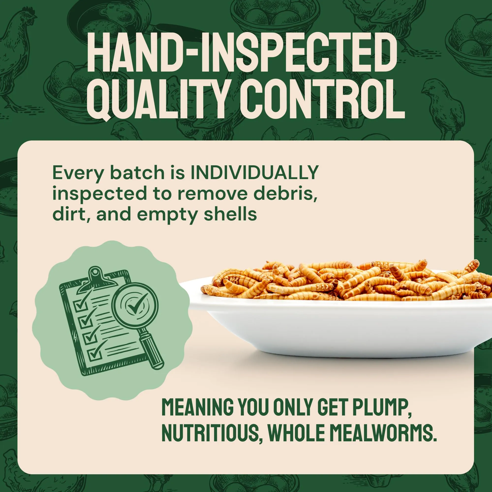 Hatortempt Bulk Dried Mealworms, 10 Lbs  Non-GMO Mealworms for Chicken & Birds - Insect Protein for Poultry Feed - Worms for Chickens, Laying Hens, Quail, Ducks - Bird Seed Alternative