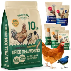 Hatortempt Bulk Dried Mealworms, 10 Lbs  Non-GMO Mealworms for Chicken & Birds - Insect Protein for Poultry Feed - Worms for Chickens, Laying Hens, Quail, Ducks - Bird Seed Alternative