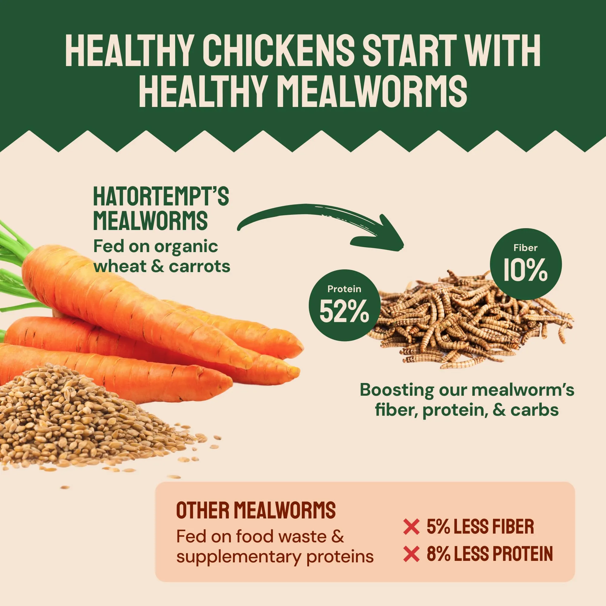 Hatortempt Bulk Dried Mealworms, 10 Lbs  Non-GMO Mealworms for Chicken & Birds - Insect Protein for Poultry Feed - Worms for Chickens, Laying Hens, Quail, Ducks - Bird Seed Alternative