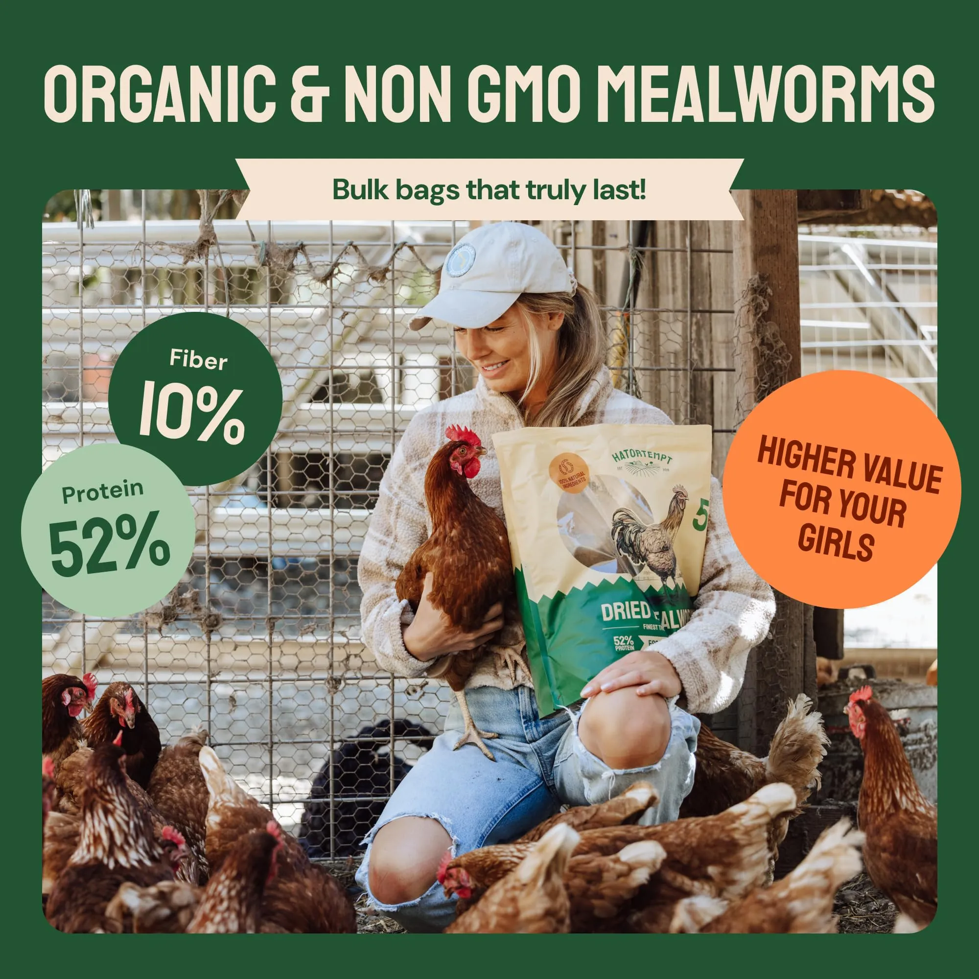 Hatortempt Bulk Dried Mealworms, 10 Lbs  Non-GMO Mealworms for Chicken & Birds - Insect Protein for Poultry Feed - Worms for Chickens, Laying Hens, Quail, Ducks - Bird Seed Alternative
