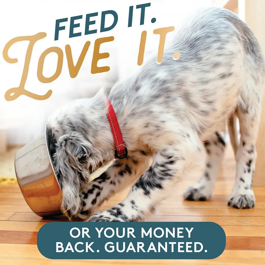 THE MISSING LINK - Kelp Formula Probiotic Blend Superfood Limited ingredient Supplement for Dogs 8 OZ