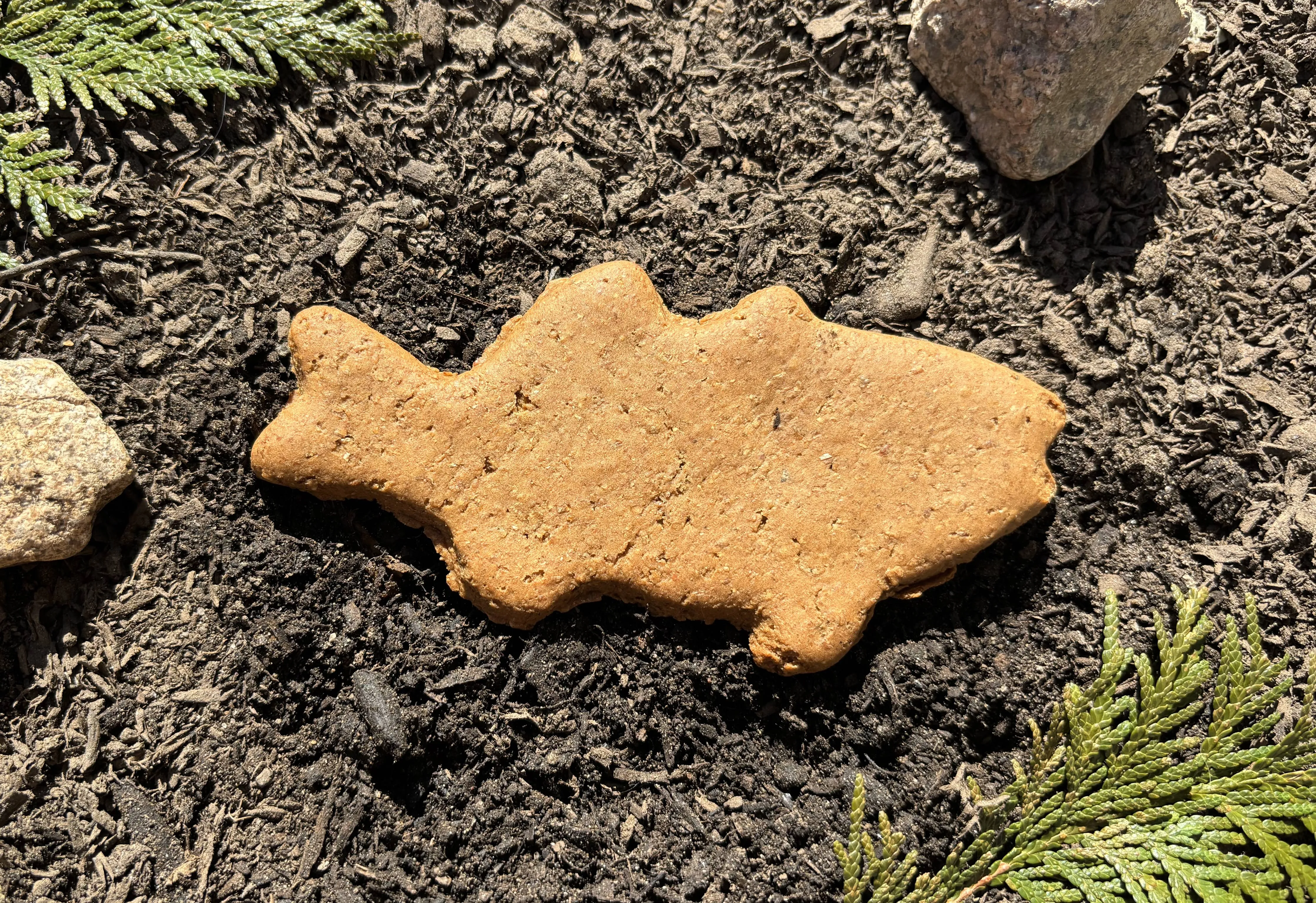 Trail Mix Trout Dog Treats